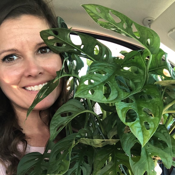 Meet your Posher, Jennifer - Picture 1 of 1